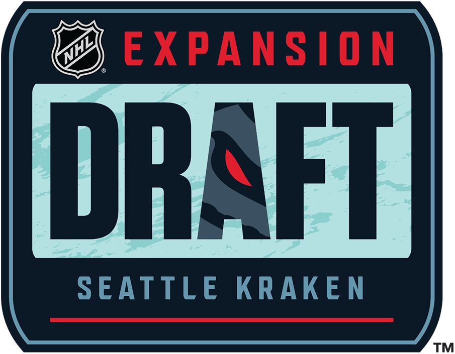 Seattle Kraken 2020 Special Event Logo DIY iron on transfer (heat transfer)